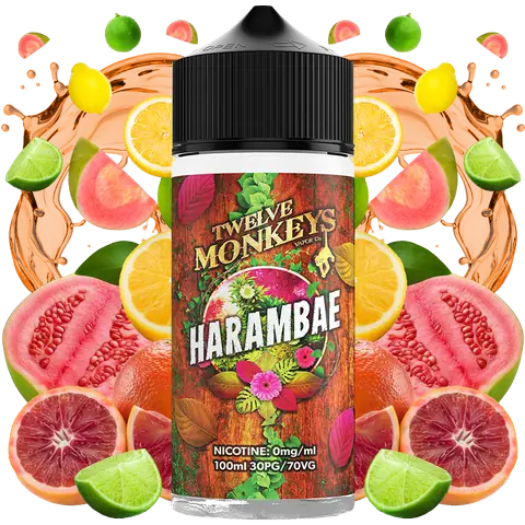 Twelve Monkeys 100ml Shortfills 2024 Edition Harambae