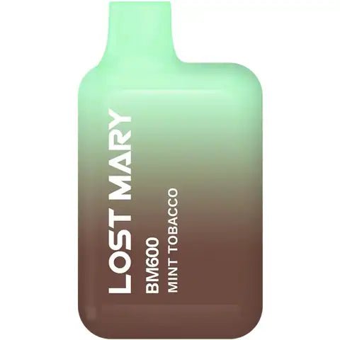 Lost Mary BM600 Disposable Device by Elf Bar Mint Tobacco