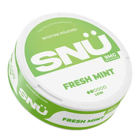 SNÜ Tobacco Free Nicotine Pouch by Bar Juice 5000 Fresh Mint 9mg